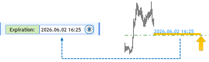 Screenshot: 10 — Expiration Eye Icon